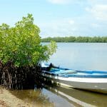 Aire Marine protégée communautaire du Bamboung