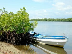 Aire Marine protégée communautaire du Bamboung