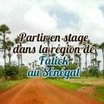 fatick-au-senegal
