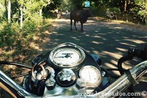 assurance rencontre sportive